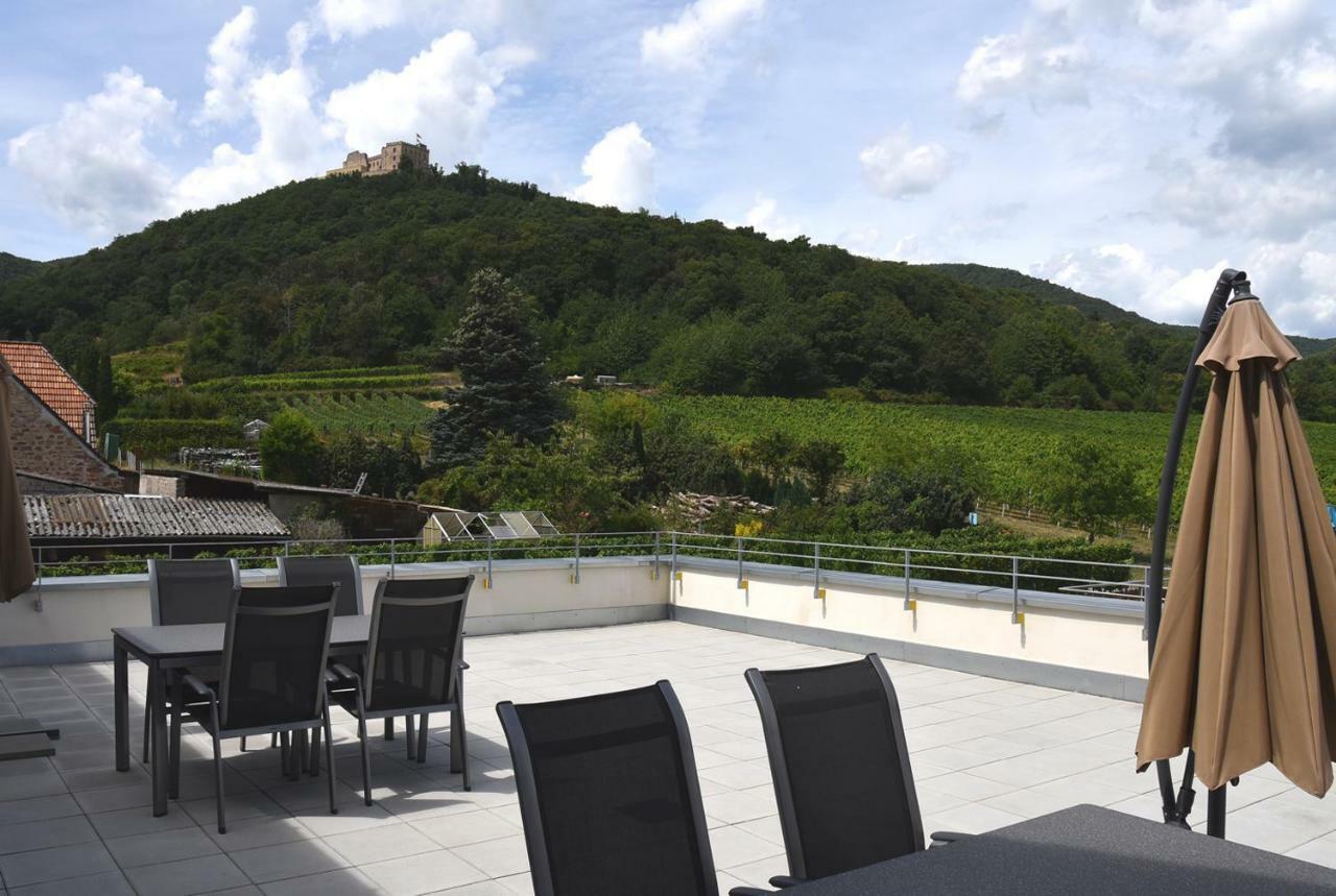 Weingut Nickel Διαμέρισμα Neustadt an der Weinstraße Εξωτερικό φωτογραφία